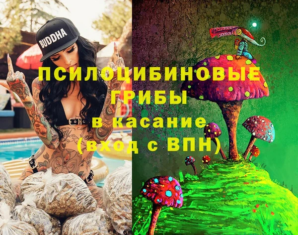 меф Горняк