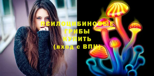 стаф Горнозаводск