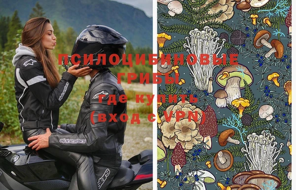 меф Горняк
