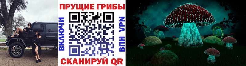 наркошоп  Ильский  Галлюциногенные грибы GOLDEN TEACHER 