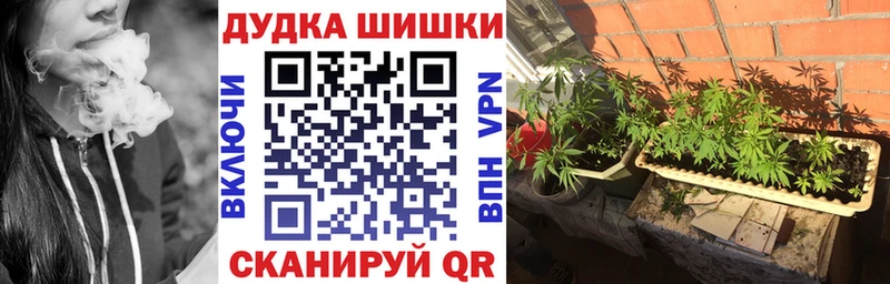 kraken ONION  Ильский  Каннабис гибрид 